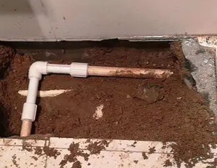 五常测漏水哪家好