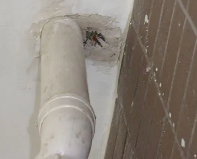 五常漏水检测哪家好